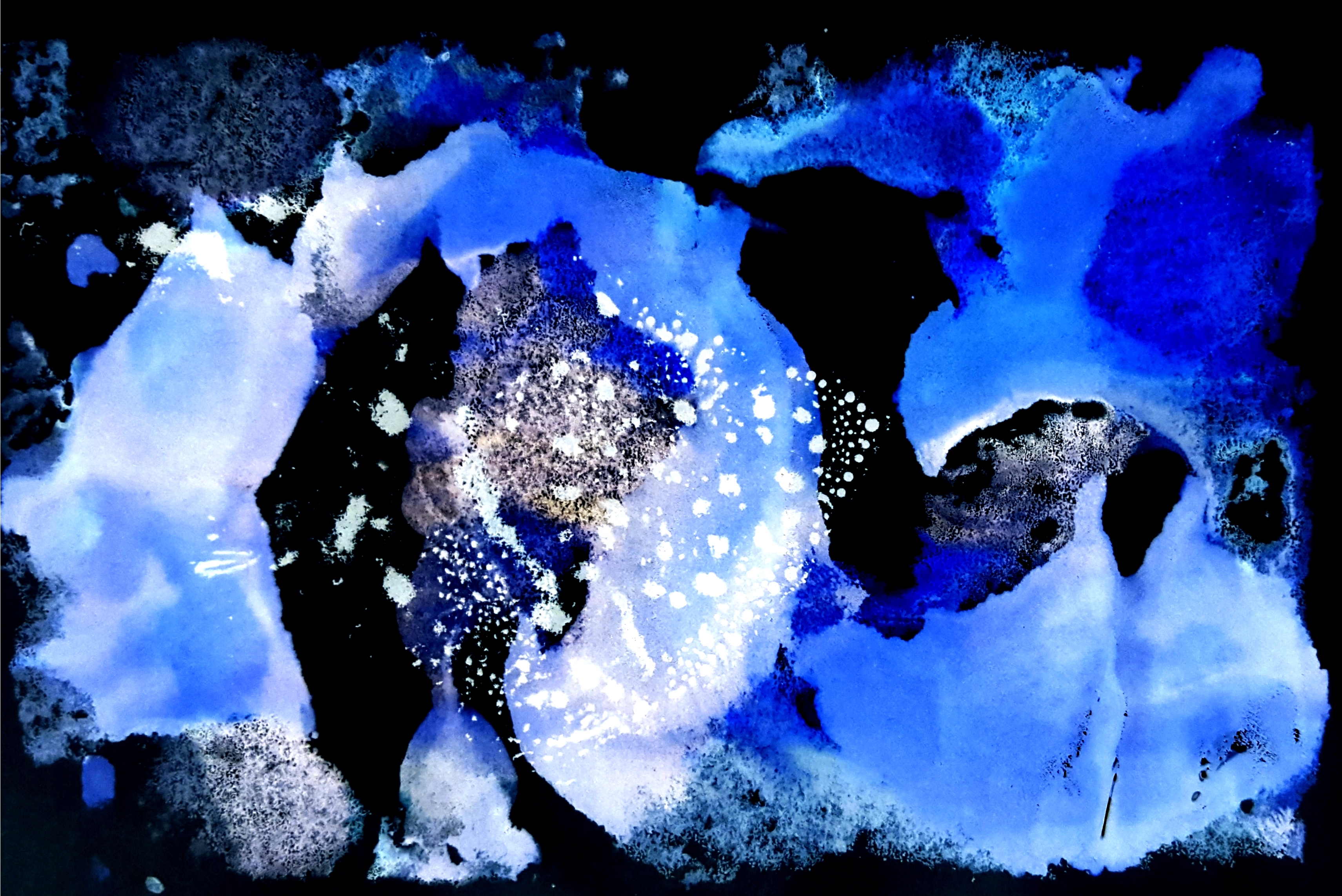 Issue 17 Masthead Photo