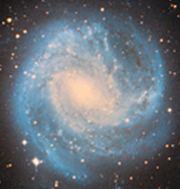 fi-goldhaber-avatar-1